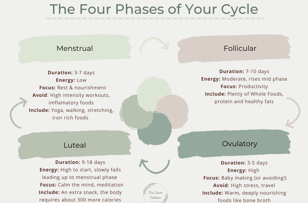 The Four Phases Of The Menstrual Cycle